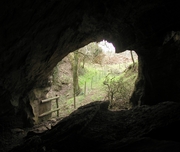 Cave Entrance