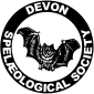 DSS Logo
